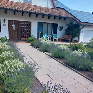 Siggis Wilhermsdorf (Furth)